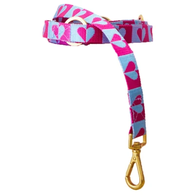 Afbeelding van Dogguo Heart Leash Blauw&amp;Raspberry Hondenriem 200x2 cm