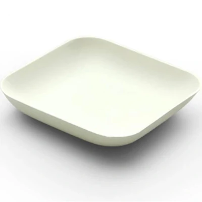 Afbeelding van Bagastro Suikerriet Bord Vierkant 8x8x1,5cm 40st.