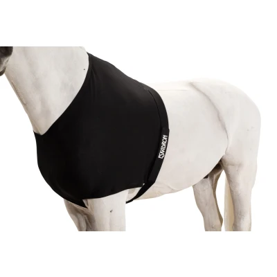 Image de Eskadron Protection de Poitrail DynAirMesh Noir Full