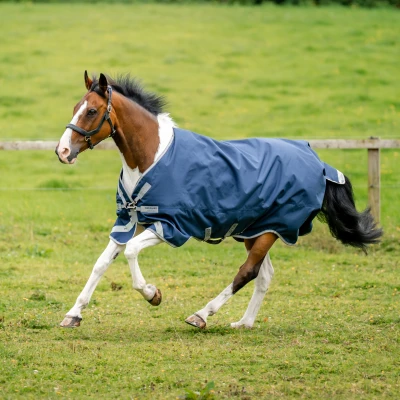 Image de Amigo Bravo 12 XL Original Turnout Medium 250g