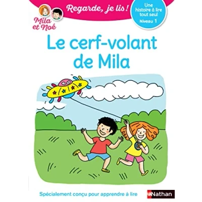 Afbeelding van Le cerf volant de Mila: Niveau 1