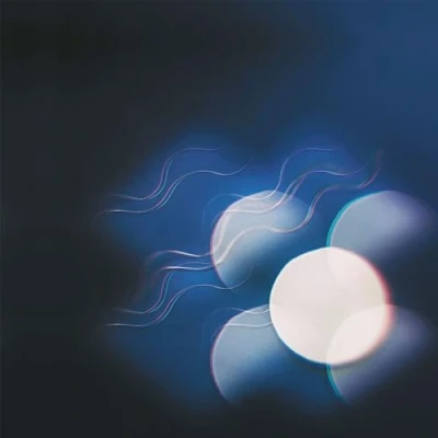 Afbeelding van Thunder Follows The Light (LP)