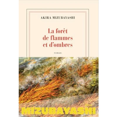 Afbeelding van DE FLAMMES ET D&#039;OMBRES