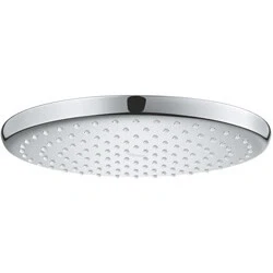 Afbeelding van GROHE Professional Tempesta 250 hoofddouche rond