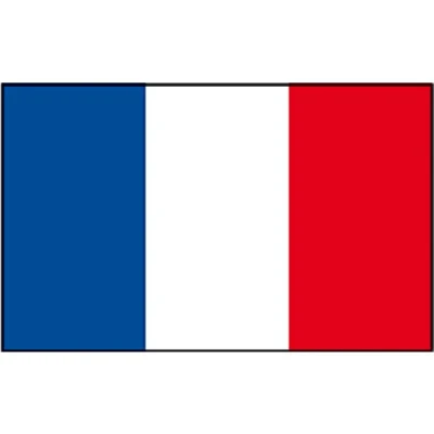 Afbeelding van Eige Franse Vlag 30x45