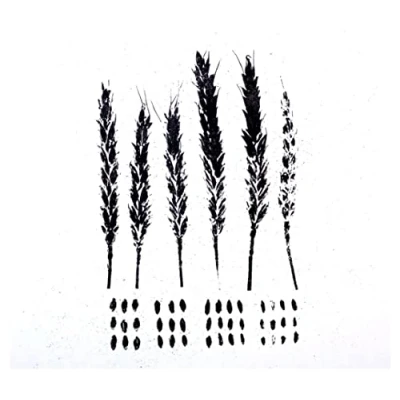 Afbeelding van Lo! The Gleaners (CD)