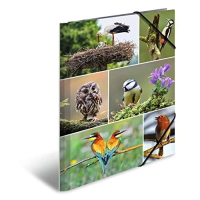 Image de HERMA Classeur A4 motif oiseaux, en carton, avec animal, élastique, rabat intérieur et impression intérieure pour garçons filles