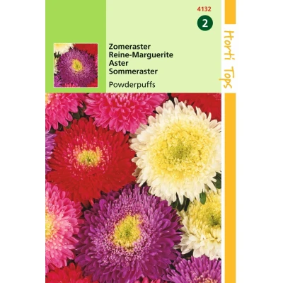 Afbeelding van Callistephus Chinensis Boeket Powderpuff Gemengd Hortitops