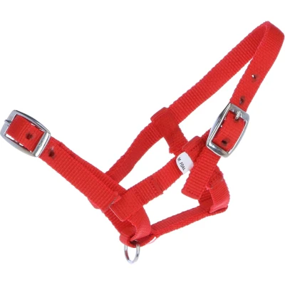 Afbeelding van HB Halster Nylon Rood Mini Veulen