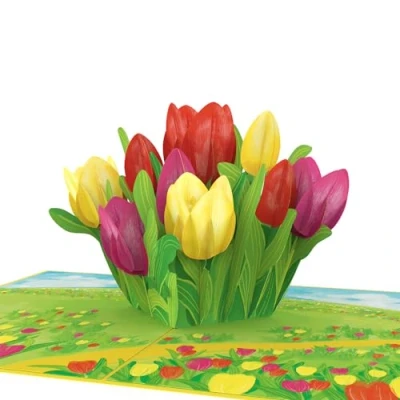 Afbeelding van papercrush® Pop up kaart &quot;Kleurrijke tulpen&quot; 3D bloemenkaart voor vriendin, vrouw en moeder (verjaardagskaart, ronde verjaardag, geldcadeau, goed herstel, bedankje, Moederdag