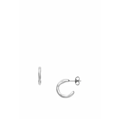 Afbeelding van Skagen SKJ1869040 Dames Oorbellen 15.4mm Zilverkleurig