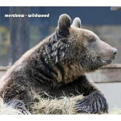 Afbeelding van Merzbow Wildwood (CD)