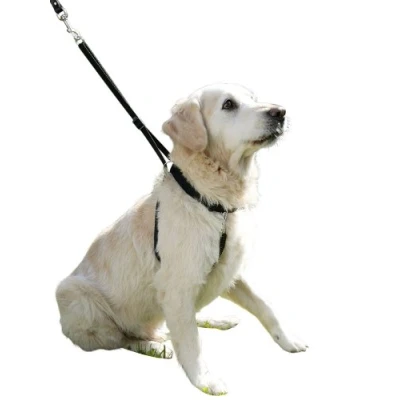 Afbeelding van Kerbl Anti Trekband Maxi Leader Zwart 45 60cm