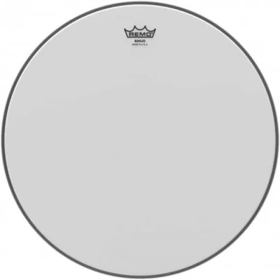 Image de remo Peau de banjo 11 bj 1100 m1