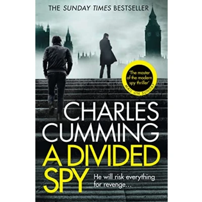 Afbeelding van Divided Spy