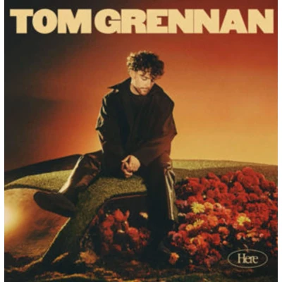 Afbeelding van Tom Grennan Here