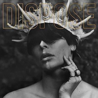 Afbeelding van Plot In You Dispose (LP)