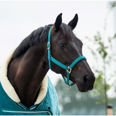 Image de HB Showtime Ensemble Licol Tropical Velvet Smaragd Green Cob