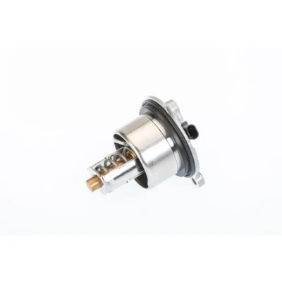 Afbeelding van WAHLER 411076.104D Thermostaat, koelvloeistof 104