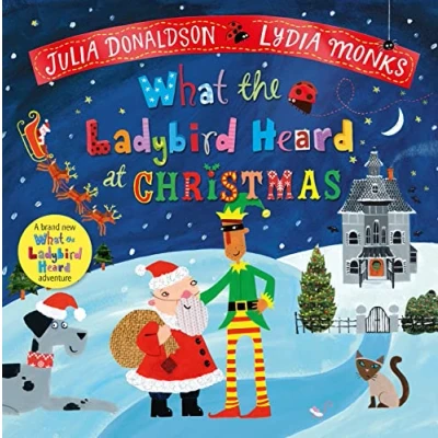 Afbeelding van What the Ladybird Heard at Christmas