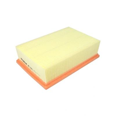 Afbeelding van FILTRON AP 130/2 Luchtfilter 68 168 248 Filter insert PEUGEOT: 206 Hatchback, 307 Estate, CITROËN: C4 I Coupe