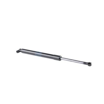 Afbeelding van Febi Bilstein Gasveer 27602