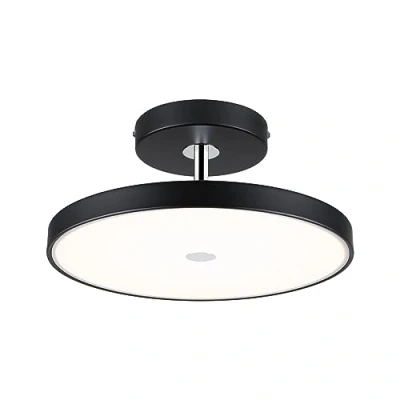 Afbeelding van Paulmann 96781 Hildor LED plafondlamp 26.5 W Zwart (mat), Chroom