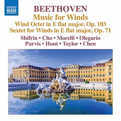 Afbeelding van David Shifrin &amp; Stephen Taylor Hsuan Fong Chen Music For Winds (CD)