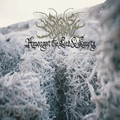 Afbeelding van Signs of the Swarm Amongst Low &amp; Empty (LP)
