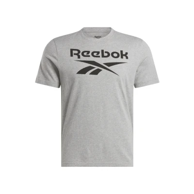 Afbeelding van Reebok RI BIG Stacked LOGO Tshirt print, Heren, Maat: Medium, Medium grey heather