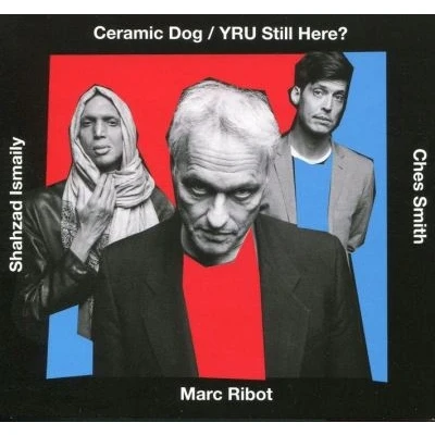 Afbeelding van Yru Still Here? (CD)