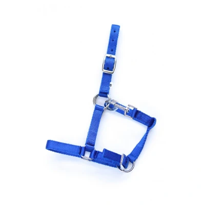 Image de HB Licol pour Poulain Astrid Bleu Royal