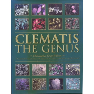 Afbeelding van Clematis