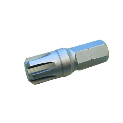 Afbeelding van SW Stahl 04425K6 Schroefbit Chroom vanadium staal