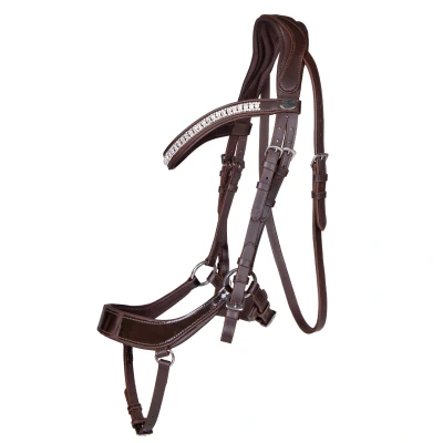 Image de QHP Bridle Eris