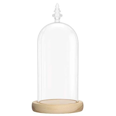 Afbeelding van Belle Vous Grote Glazen Stolp Bel Fles met Natuurlijk Houten Basis 26,5cm Helder Decoratieve Tafeltop Display Case Tray voor Fee Lichtjes, Kopstukken en Antiek