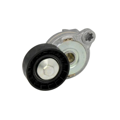 Afbeelding van Riemspanner, Poly V riem DAYCO APV2740