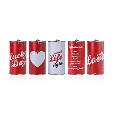 Afbeelding van PartyDeco Autopotten voor bruiden, plaatstaal, wit/rood, 14 x 7 cm