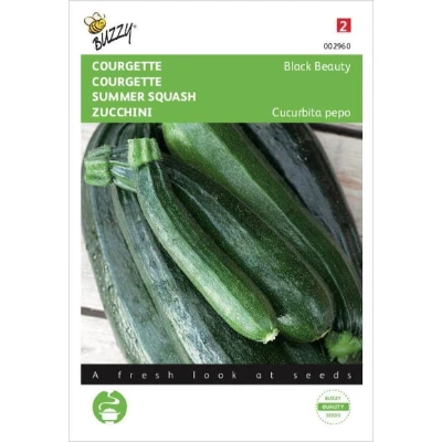 Afbeelding van Courgette Black Beauty Verte De Milan