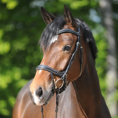 Image de Kavalkade Bridon Ivy IR Noir Full