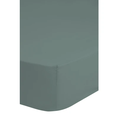 Afbeelding van Good Morning Hoeslaken jersey 70x140/150 cm mistgroen