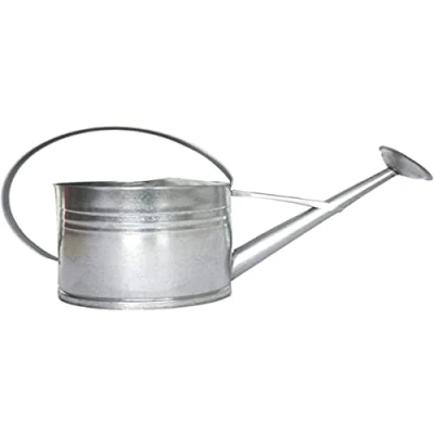 Afbeelding van Esschert Design Decoratieve Gieter 62,5 Cm Zink 10 Liter Zilver