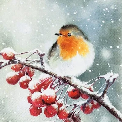 Afbeelding van 20 stuks kleine cocktailservetten, winterscène met vogels, tafeldecoratie, Kerstmis, winter, decoupage, servettechniek, 25 x cm