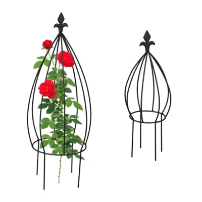 Afbeelding van plantensteun metaal set van 2 obelisk 65 en 48 cm klimplanten