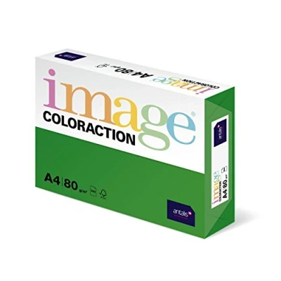 Afbeelding van Antalis Coloraction papier voor inkjetprinter A4 (210x297 mm) 500 vel Groen