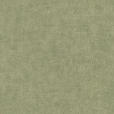 Afbeelding van Dutch Wallcoverings Asperia Annabel uni groen vliesbehang 10m x 53cm A51515