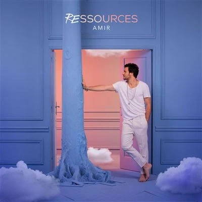 Afbeelding van Amir Ressources