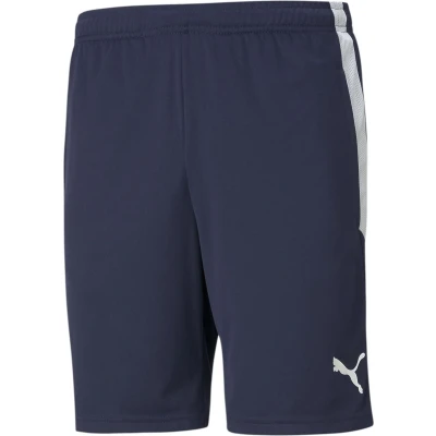 Afbeelding van Puma Korte broeken, Heren, Maat: 3XL, Blau