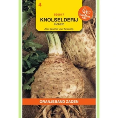 Afbeelding van Knolselderij Monarch