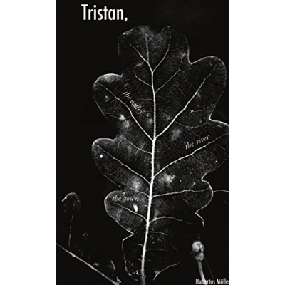 Afbeelding van Tristan,